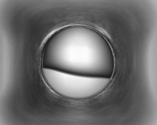 X0000087521504200704271131
