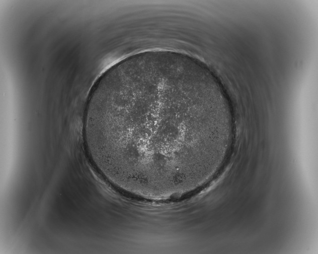 X0000087521505200704271131
