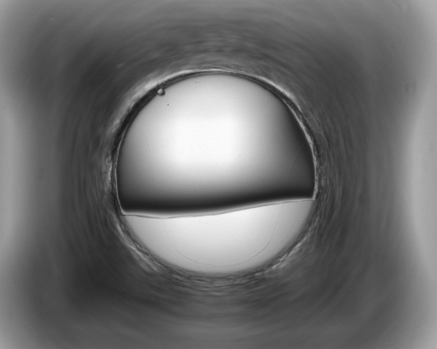 X0000087521507200704271131