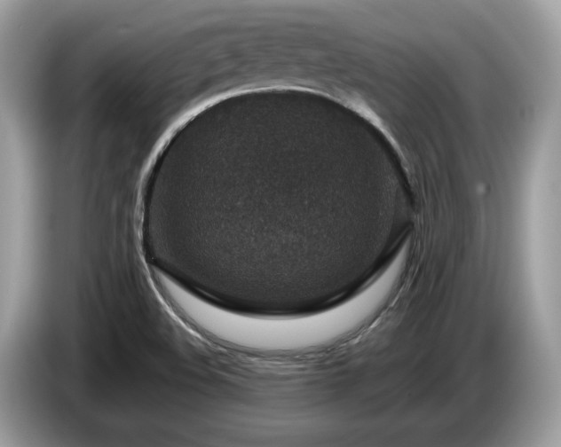 X0000087521508200704271131