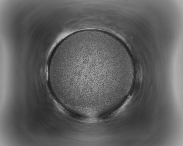 X0000087521509200704271131