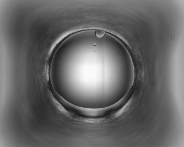 X0000087521510200704271131