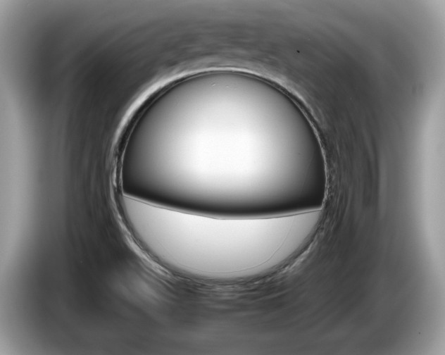X0000087521511200704271131
