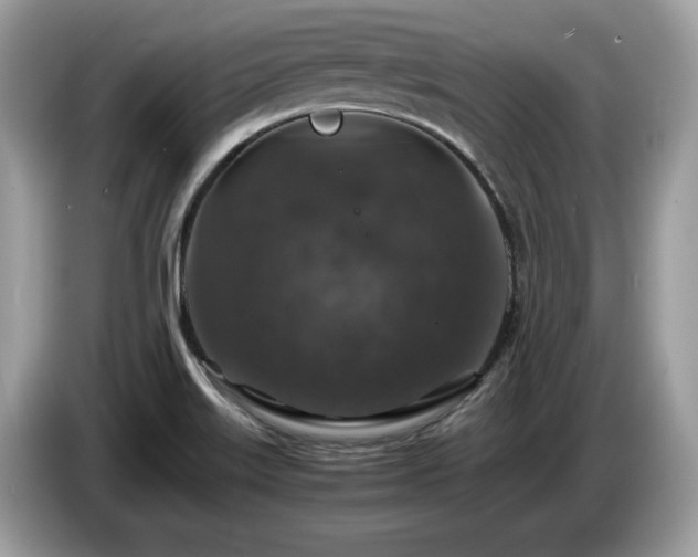 X0000087521515200704271131