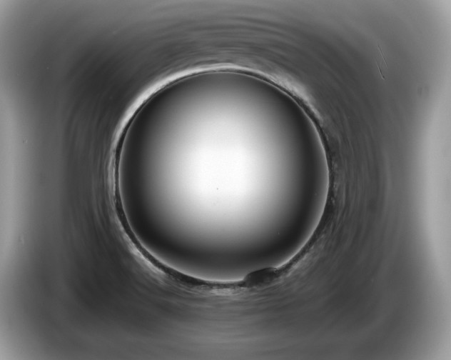X0000087521516200704271131