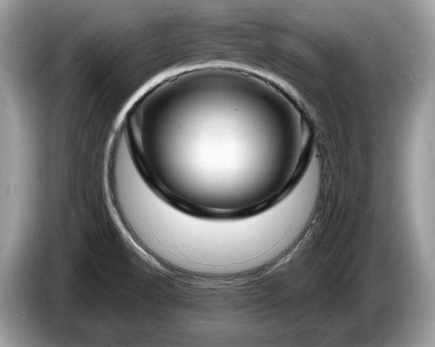 X0000087521518200704271131