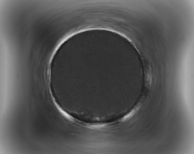 X0000087521519200704271131