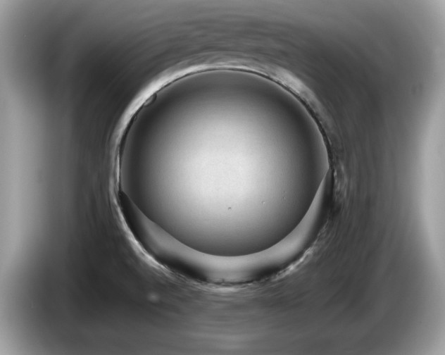 X0000087521520200704271131
