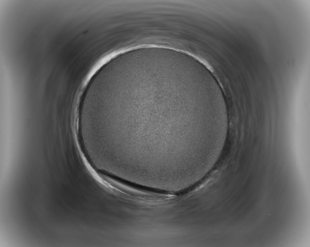 X0000087521523200704271131