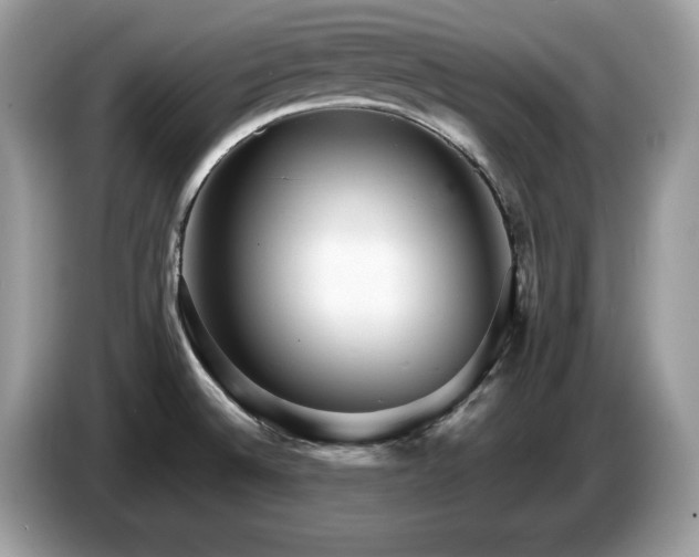 X0000087521524200704271131