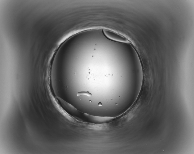 X0000087521526200704271131