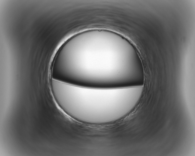 X0000087521527200704271131