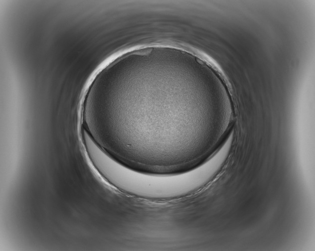 X0000087521528200704271131