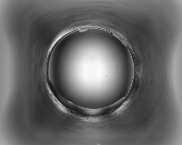 X0000087521530200704271131