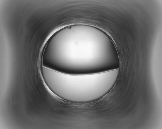 X0000087521531200704271131