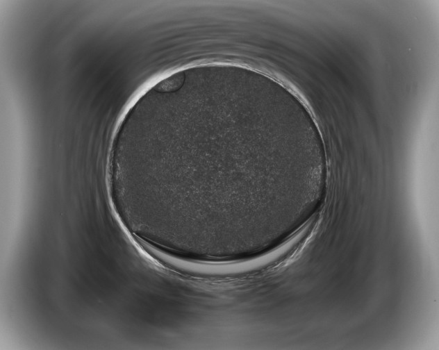X0000087521533200704271131
