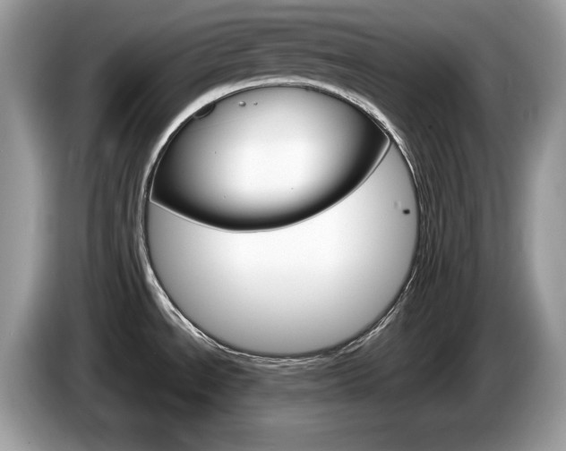 X0000087521534200704271131