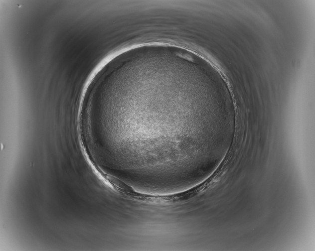 X0000087521536200704271131