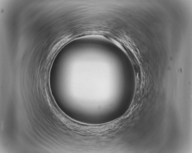 X0000087520001200705041224