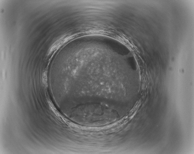 X0000087520002200705041224