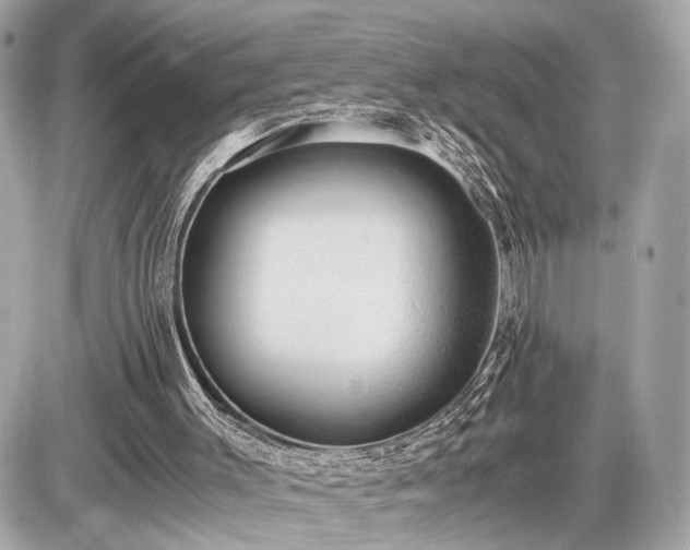 X0000087520003200705041224