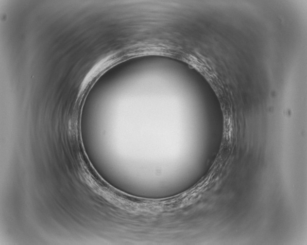 X0000087520004200705041224