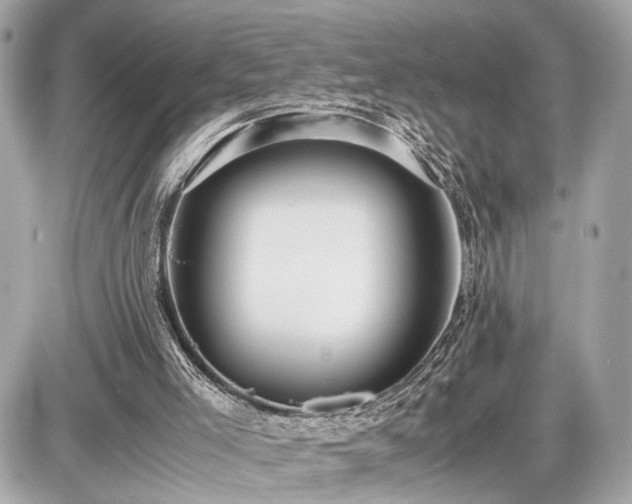 X0000087520005200705041224