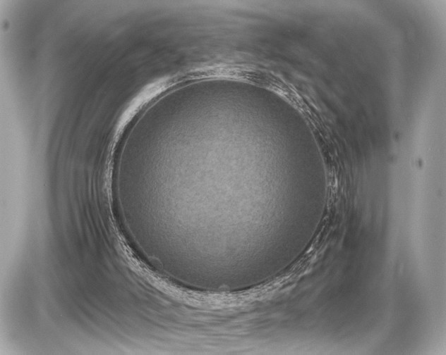 X0000087520006200705041224