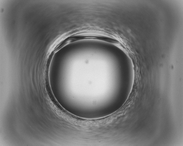 X0000087520007200705041224