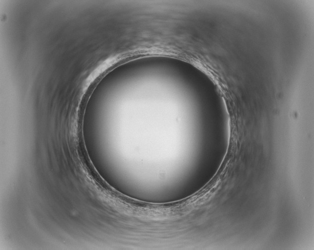 X0000087520008200705041224