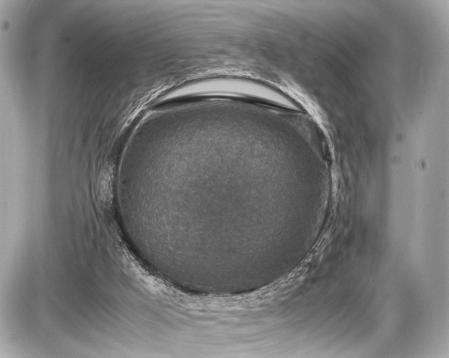 X0000087520009200705041224