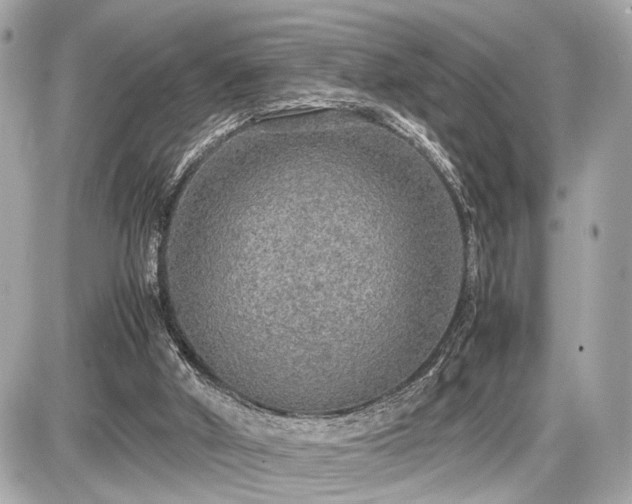 X0000087520010200705041224