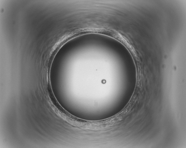 X0000087520011200705041224