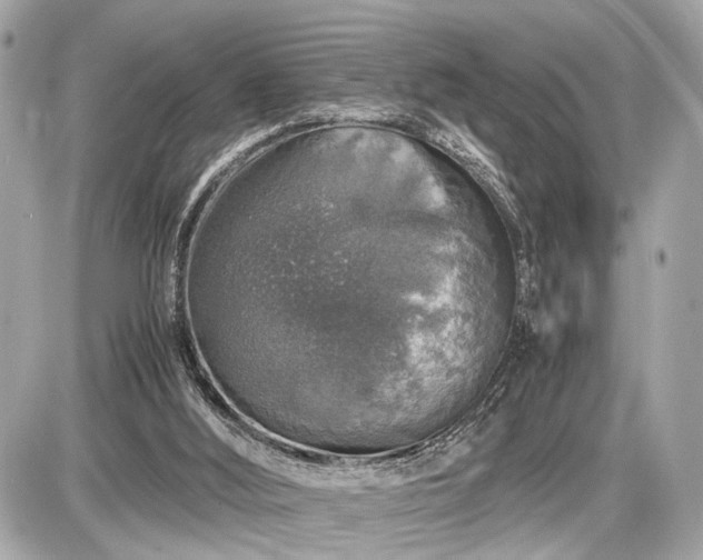 X0000087520012200705041224