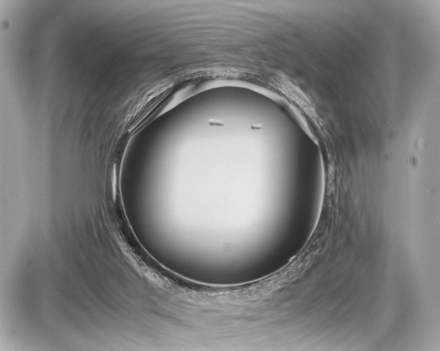 X0000087520013200705041224