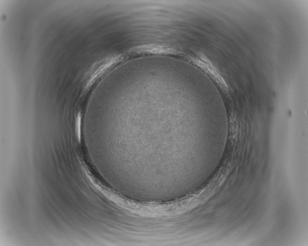 X0000087520014200705041224