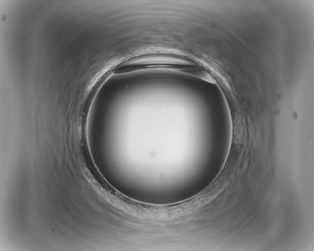 X0000087520015200705041224