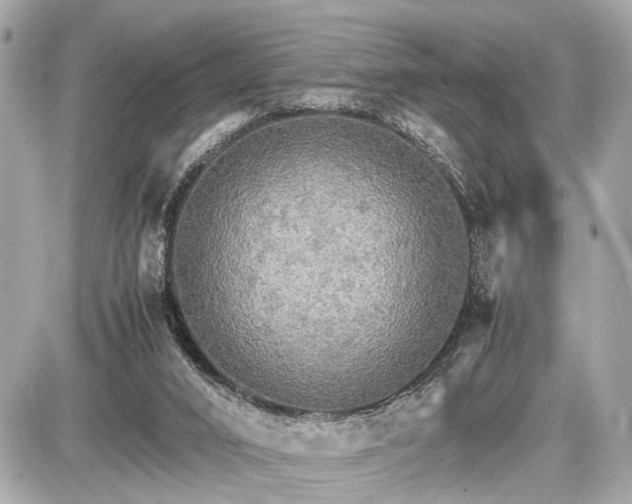 X0000087520016200705041224