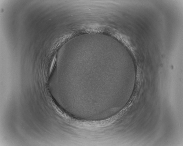 X0000087520017200705041224