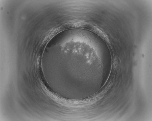 X0000087520018200705041224