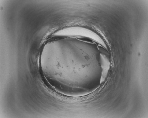 X0000087520019200705041224