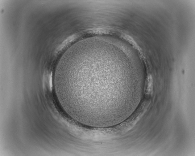 X0000087520020200705041224