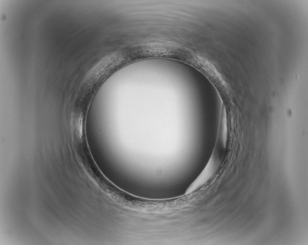 X0000087520021200705041224