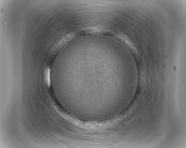 X0000087520022200705041224