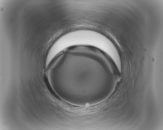 X0000087520023200705041224