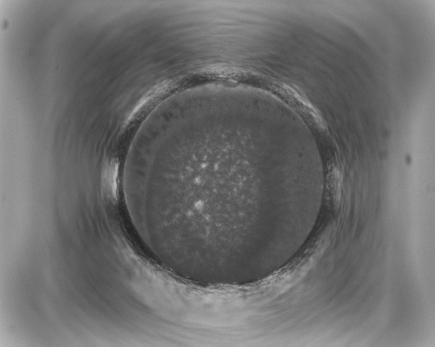 X0000087520024200705041224