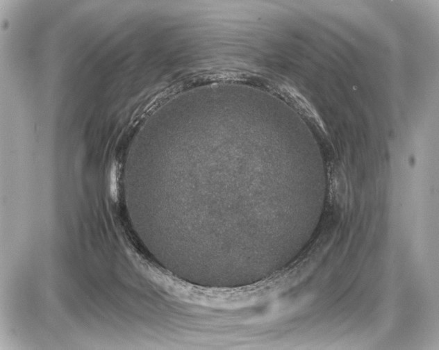 X0000087520026200705041224