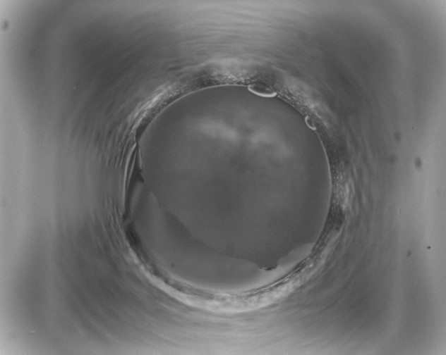 X0000087520027200705041224