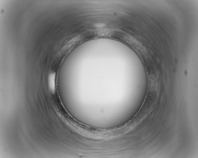 X0000087520028200705041224