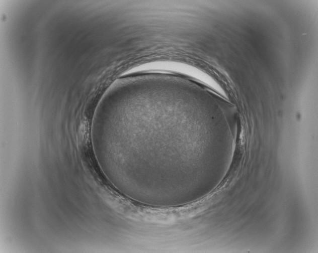 X0000087520029200705041224